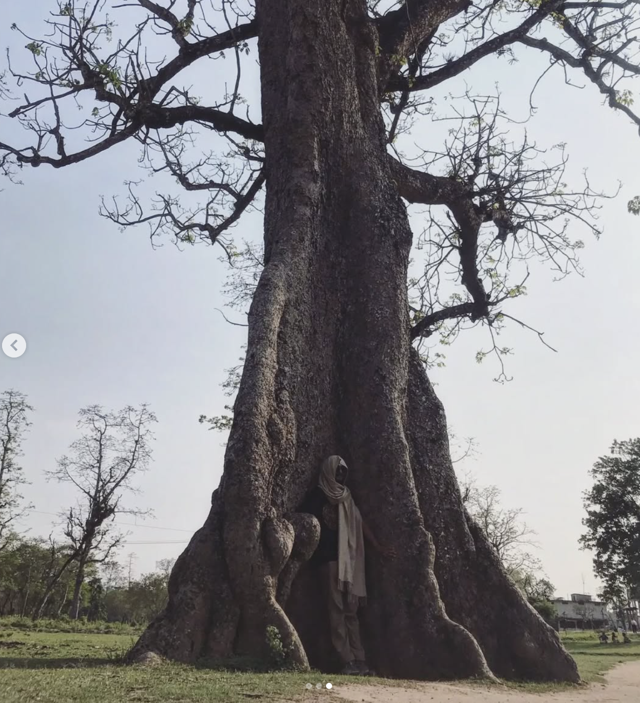Solo portrait in front of ancient towering tree