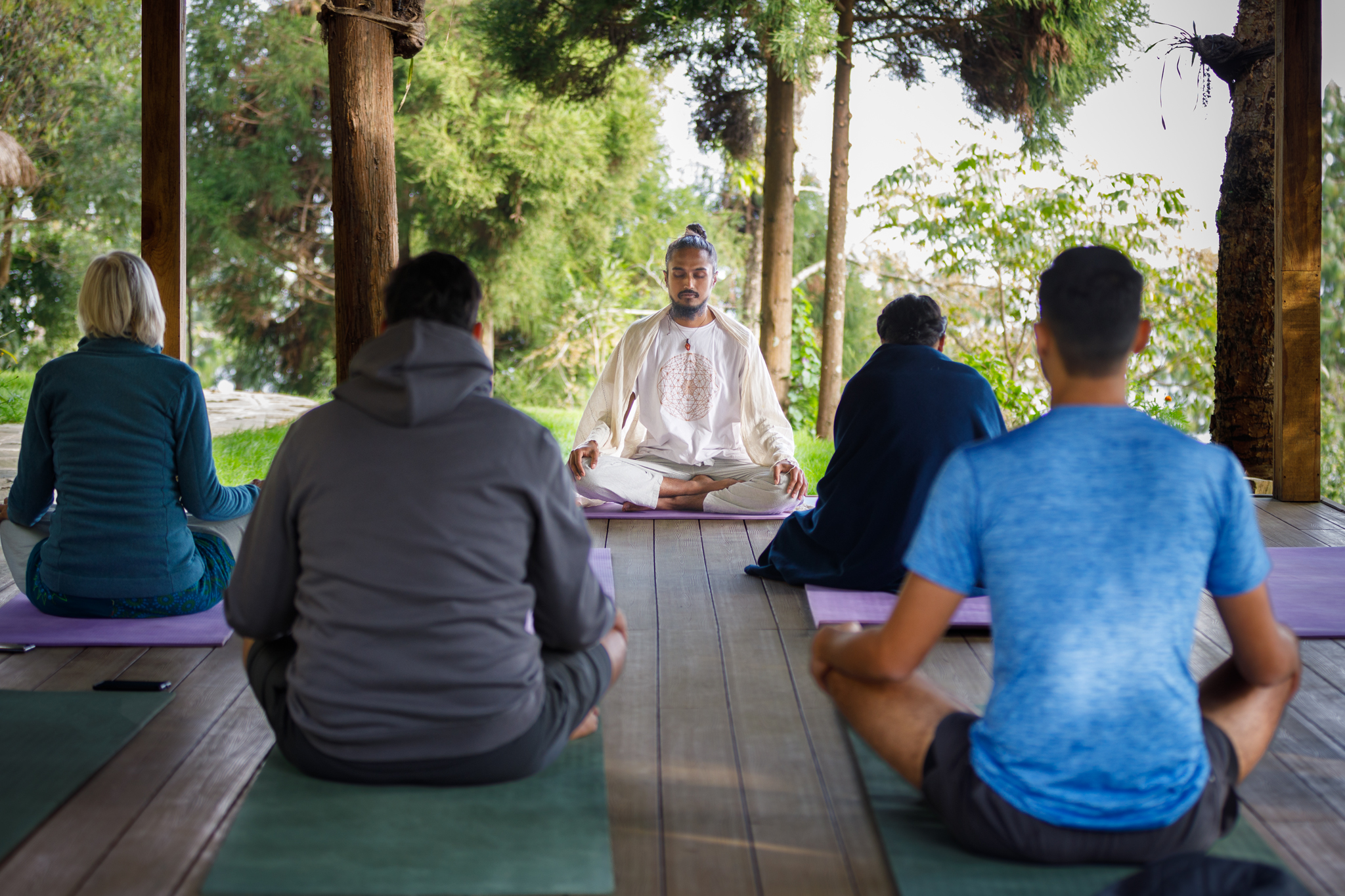Small group meditating in circle under forest canopy